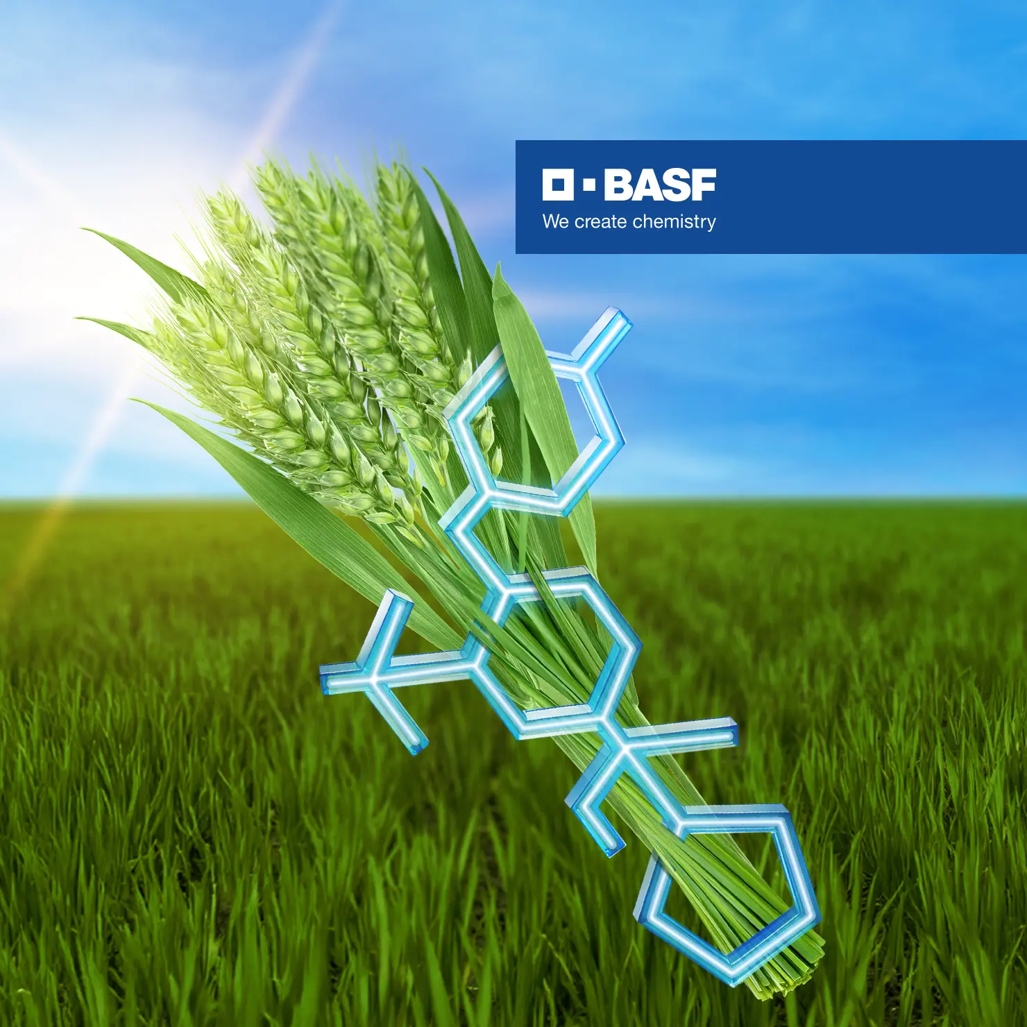 BASF: Rex Pro