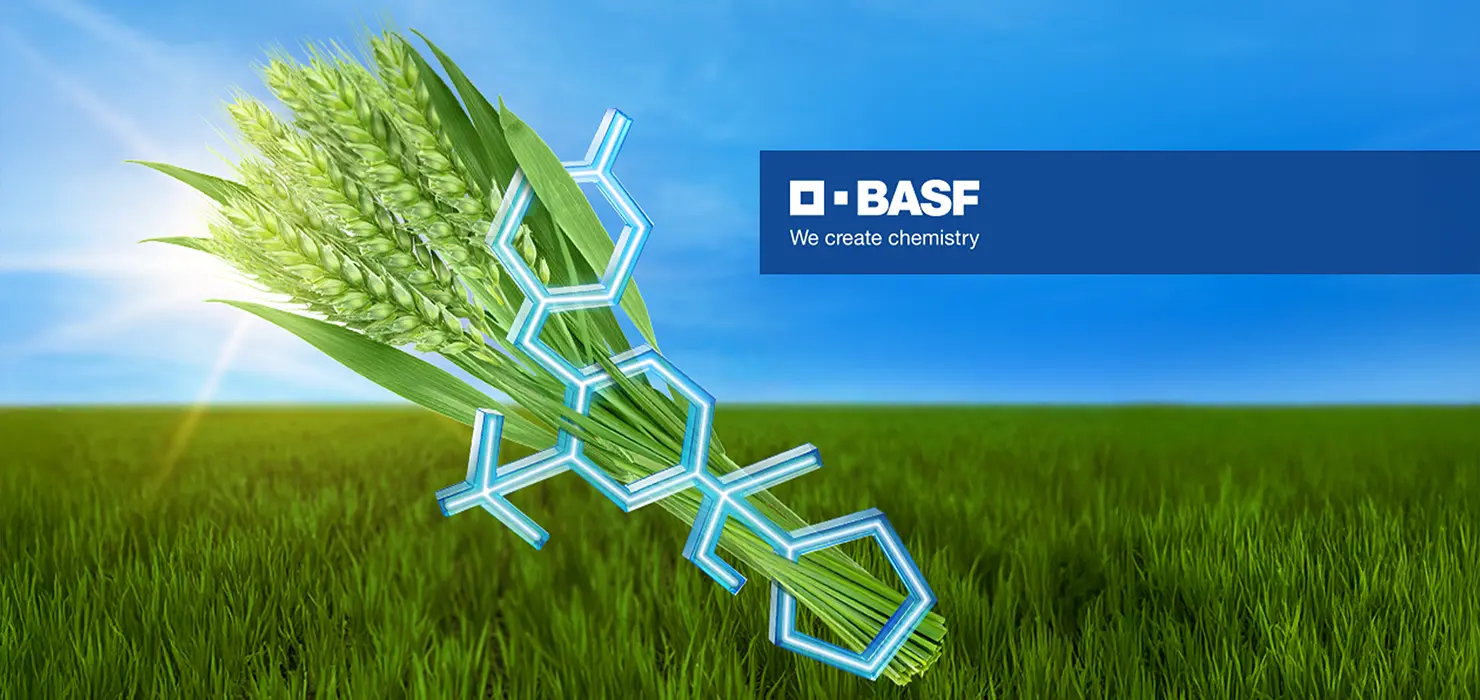 BASF_cover_pr-n_ENG