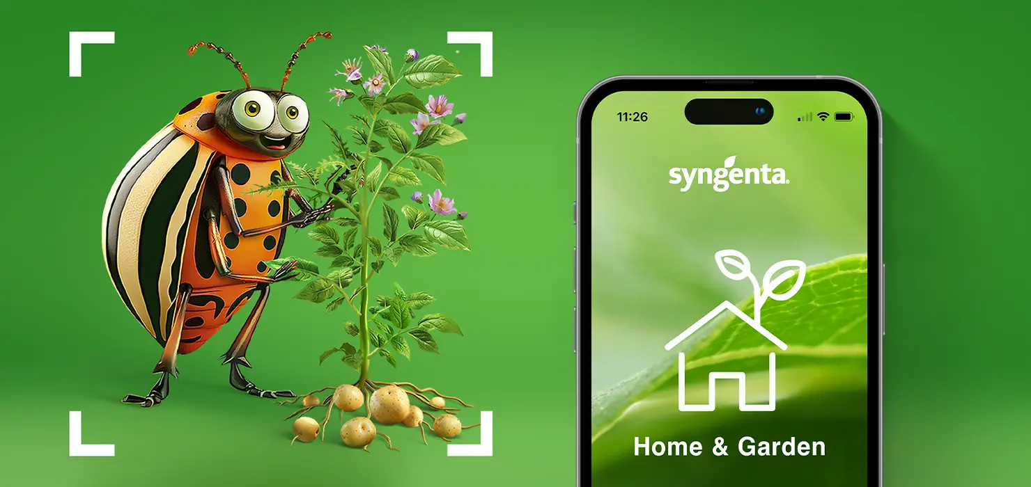 Syngenta_cover_pr_nxt_ENG
