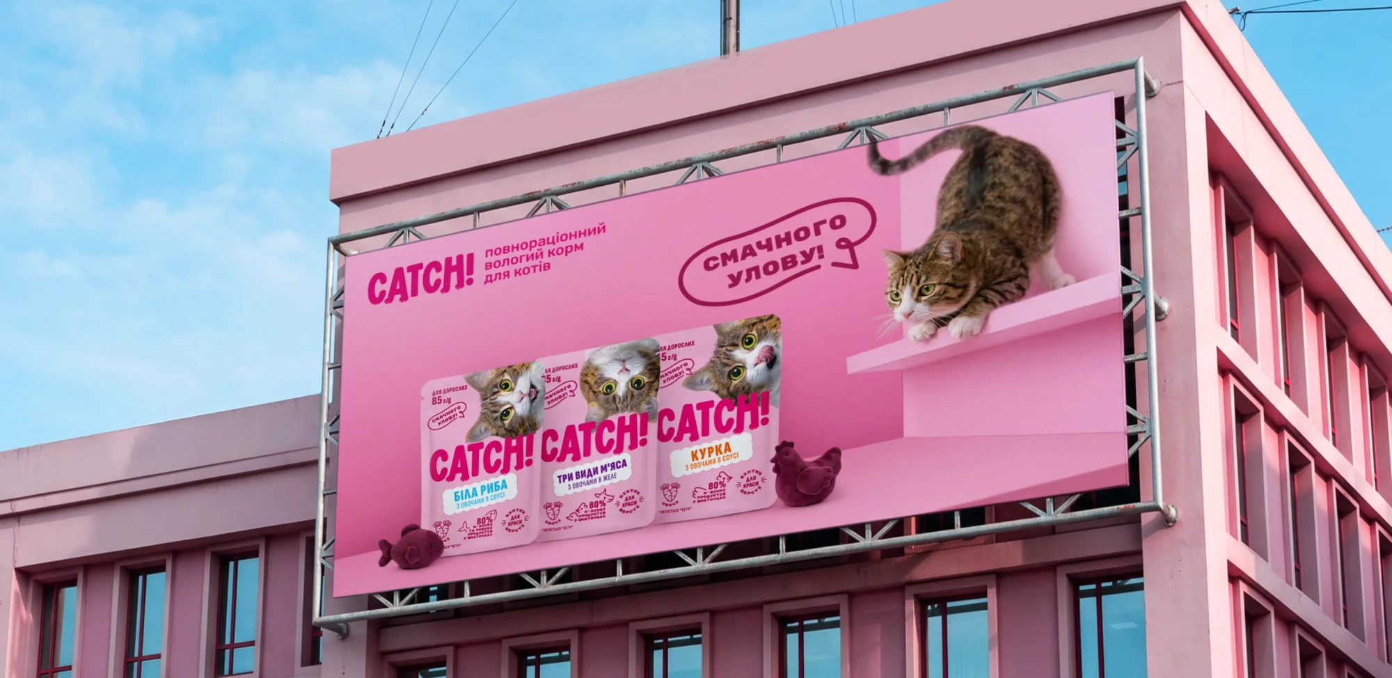 01_Catch