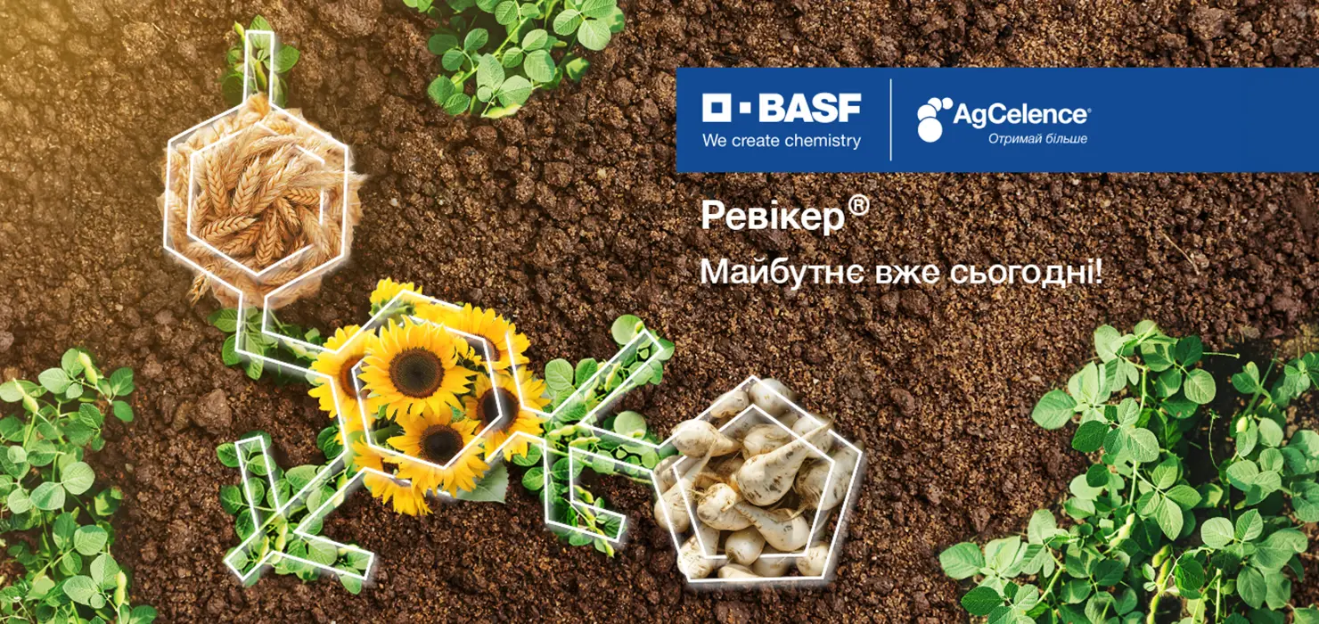 basf_revycare_cover_n_p